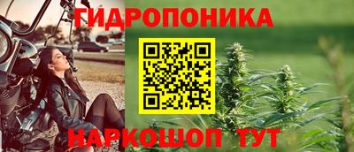 эйфоретик Берёзовский