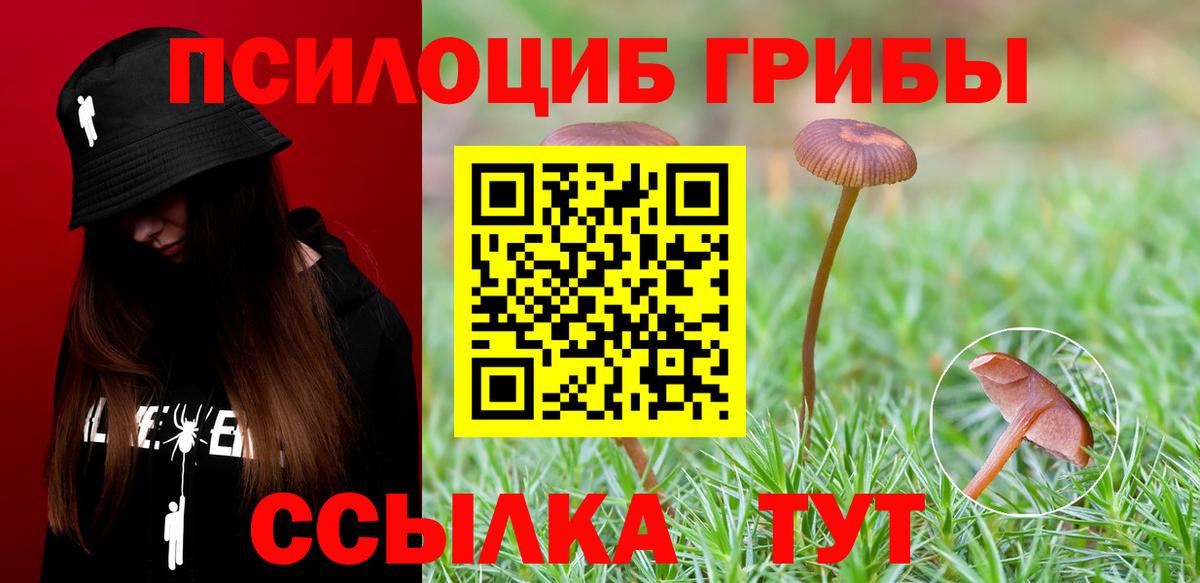 Псилоцибиновые грибы мухоморы  Вход с VPN  даркнет сайт  Губаха 
