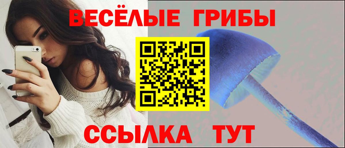 Псилоцибиновые грибы Губаха