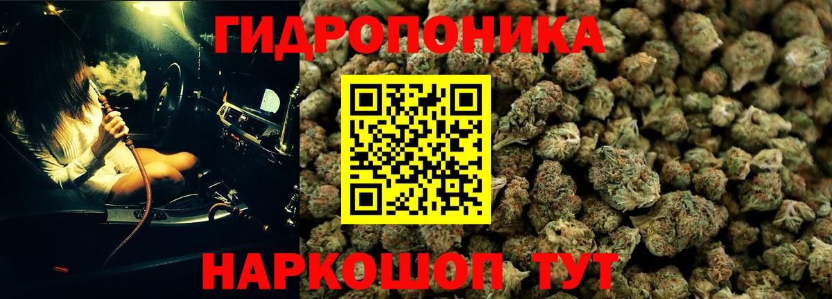 Конопля ГИДРОПОН  Вход с VPN  Губаха  Шишки марихуана THC 21%  МАРИХУАНА гибрид 